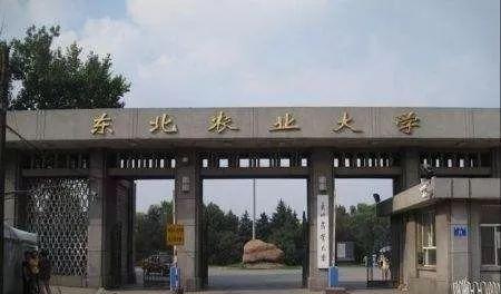 兩校合并，黑龍江將迎來一所新大學？教育廳有明確回復，值得期待