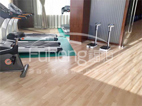 <a href=http://m.pjhwys.cn target=_blank class=infotextkey>健身</a>房木地板-10fd